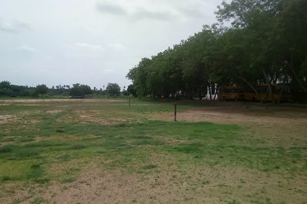Spacious Playground